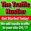 the traffic hustler